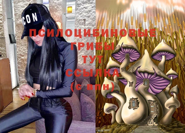 спиды Сафоново