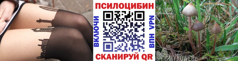 Псилоцибиновые грибы ЛСД Среднеуральск
