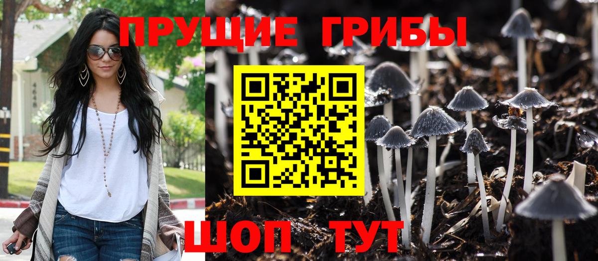 Псилоцибиновые грибы мухоморы  Вход с VPN  Среднеуральск 